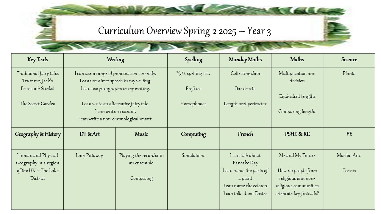 Curriculum Overview Spring 2 - Year 3 (2)